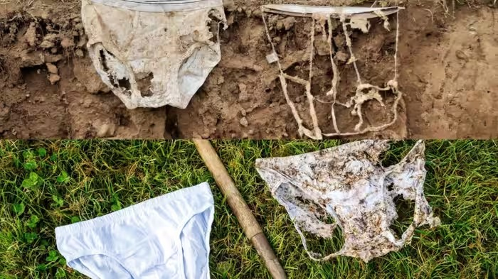 Switzerland Underwear Experiment: સ્વિટ્ઝર્લેન્ડમાં માટીની સ્થિતિ જાણવા વૈજ્ઞાનિકોએ દાટ્યાં 2000 જોડી અન્ડરવેર, બે મહિના બાદ મળ્યા ચોંકાવનારા પરિણામો 1 Switzerland Underwear Experiment