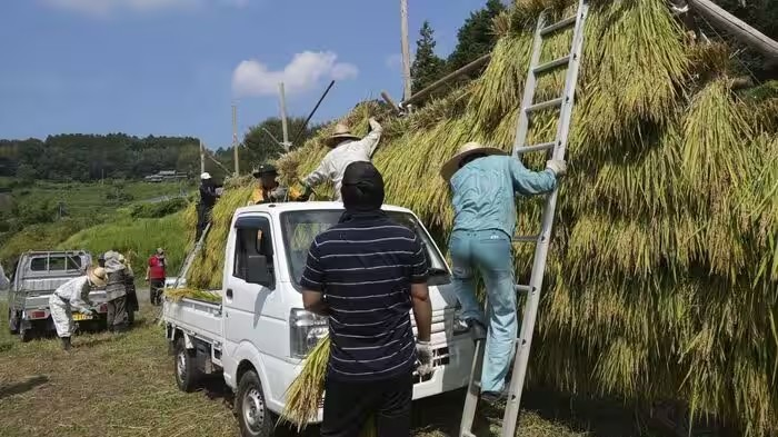 Japan Rice Waste Ethanol