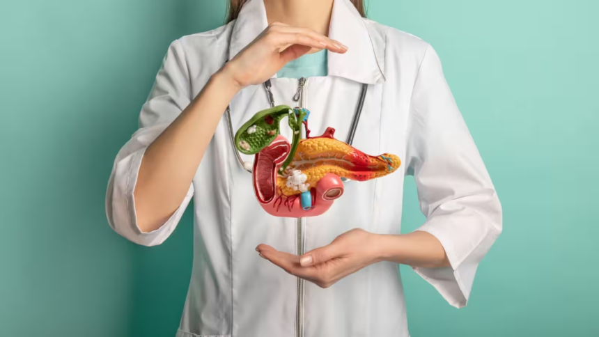 Pancreas Health: પેન્ક્રિયાસ શરીરમાં શું કામ કરે છે? તેની તંદુરસ્તી બગડવાથી ડાયાબિટીસ અને પાચન સંબંધિત સમસ્યાઓનું જોખમ કેવી રીતે વધી શકે છે, જાણો નિષ્ણાતોની સલાહ. 1 Pancreas Health