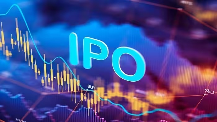 IPO Investment Tips