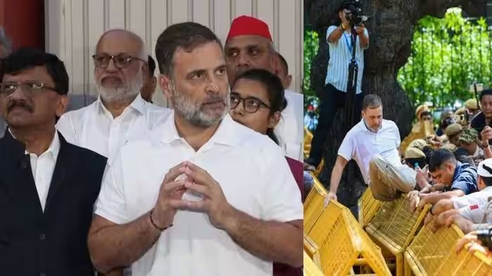 INDIA Block Delhi Protest