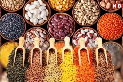 India Food Supply 2047