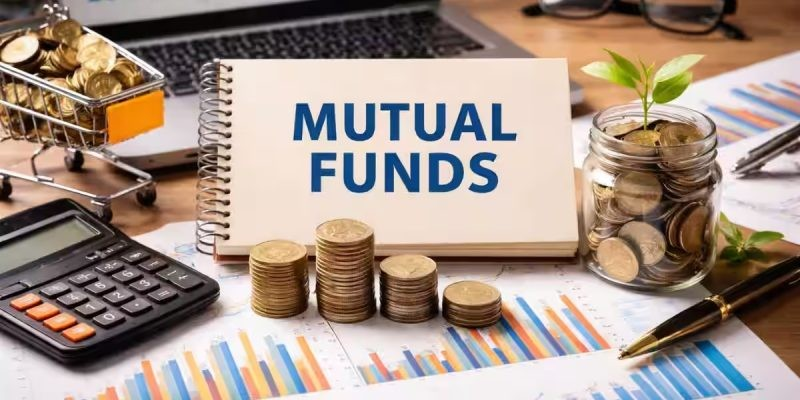 Equity Mid Cap Fund Return