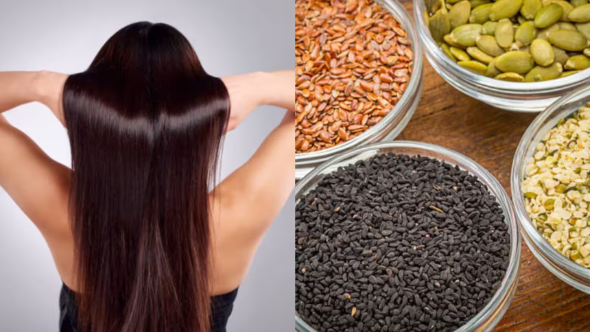 Seeds for Hair Growth: વાળ લાંબા, કાળા અને મજબૂત બનાવવા ખાઓ આ બીજ, જાણો કયું બીજ વાળની કઈ સમસ્યામાં કરશે મદદ 1 Seeds for Hair Growth