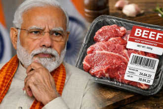 BJP Beef Export