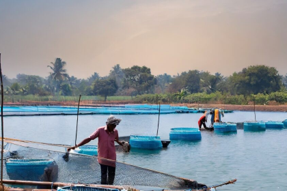 Fish Farming Loan