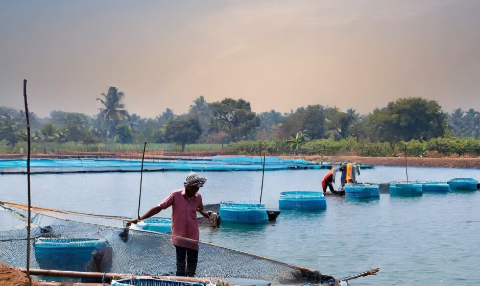 Fish Farming Loan