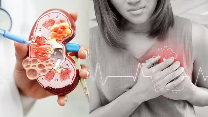 Kidney and Heart Health