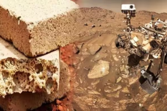 Living Building Materials Mars