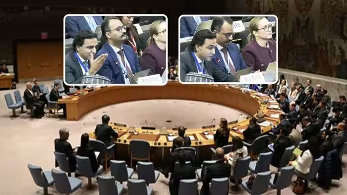 Pakistan Kashmir UNHRC: 'કાશ્મીર ભારતનો અભિન્ન અંગ નથી', UNHRCમાં પાકિસ્તાને ઉઠાવ્યો મુદ્દો, BJP અને મુસ્લિમોનો ઉલ્લેખ 1 Pakistan Kashmir UNHRC