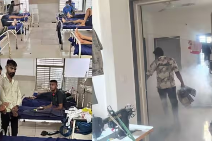 Gujarat Dengue