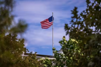 US OPT Fees