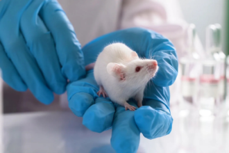 Animal Experiment Rules