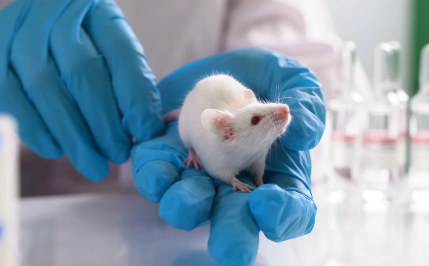 Animal Experiment Rules: કેન્દ્ર સરકાર પ્રાણી પ્રયોગોના નિયમોમાં મોટા ફેરફાર કરવાની તૈયારીમાં 1 Animal Experiment Rules