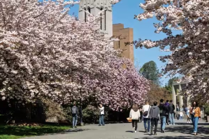 Top Universities Rankings
