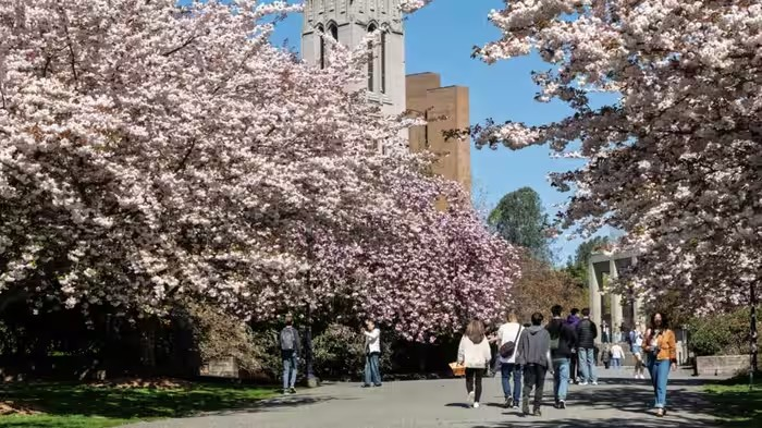 Top Universities Rankings