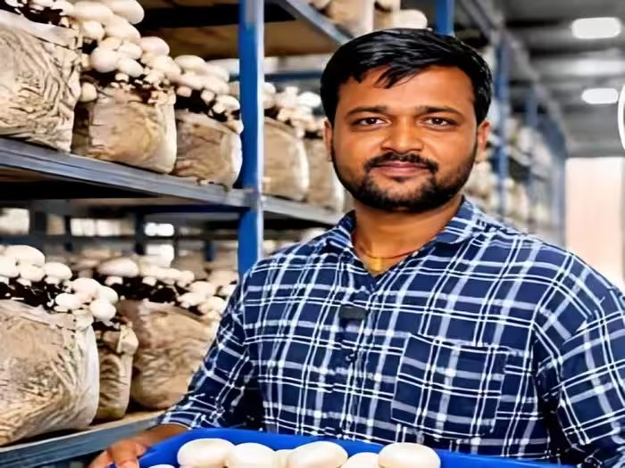 Success Story of Upendra Kushwaha: બિહારના ઉપેન્દ્ર કુશવાહા બન્યા 'મશરૂમ કિંગ', માત્ર ₹1.5 લાખ અને 700 મશરૂમ બેગ્સથી શરૂઆત, આજે વાર્ષિક ₹2.5 કરોડથી વધુનું ટર્નઓવર 1 Success Story of Upendra Kushwaha