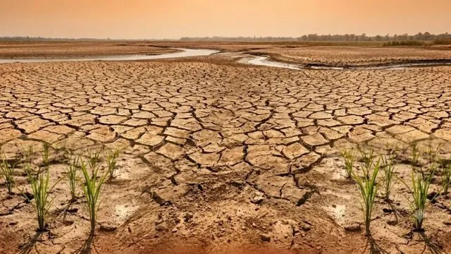 Gujarat Drought Relief